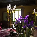 La Dimora Del Genio Bed & Breakfast Palermo